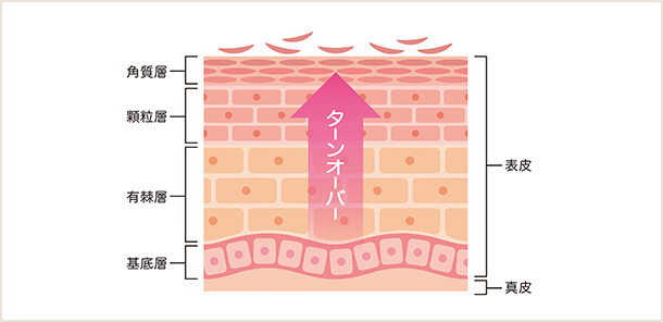 ターンオーバー促進施術