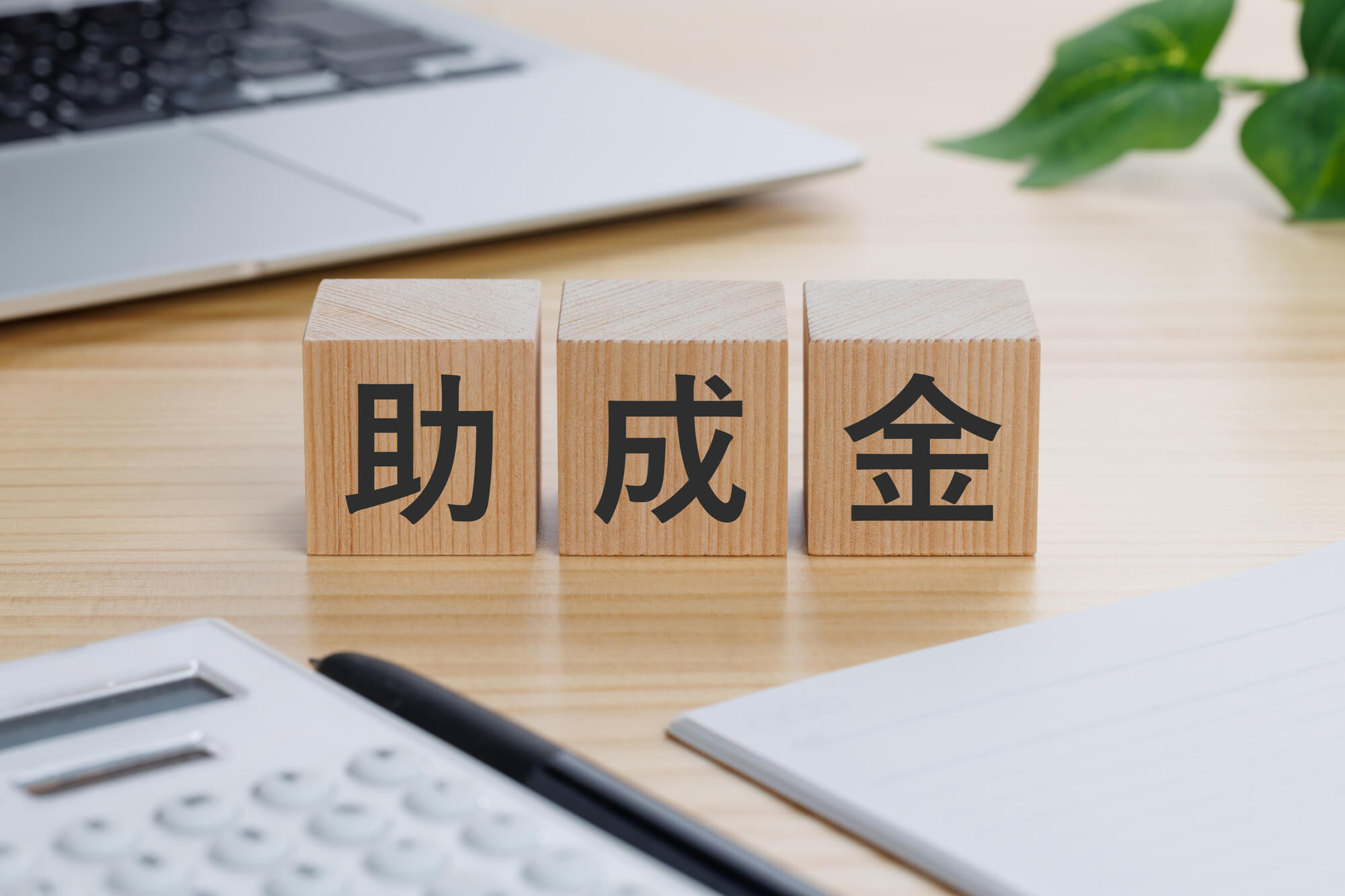 エステサロンの開業・経営に使える助成金7選